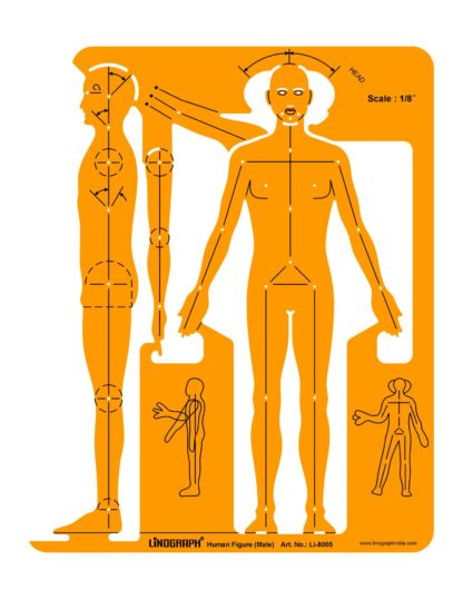 Li-8005 - Human Figure (Male)