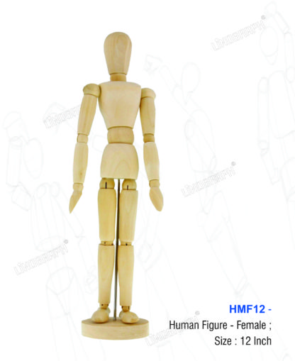 HMF12 - Human Manikin 12" Female