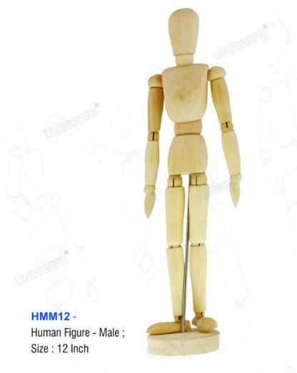 HMM12 - Human Manikin 12" Male